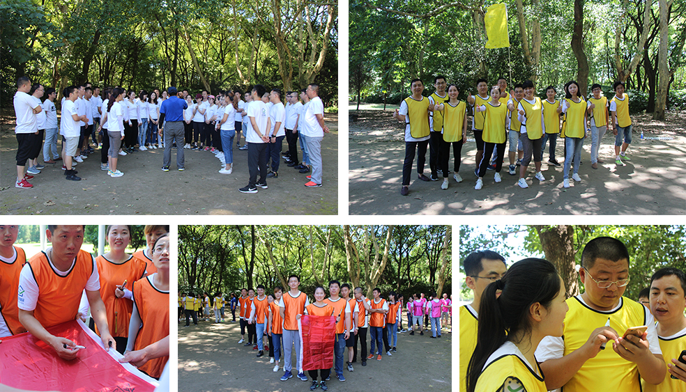 龍勝管拓展訓(xùn)練燃爆夏日，我們“激情不減，活力無(wú)限”